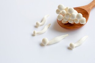 木勺上的白色菌类