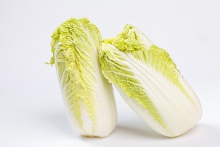 两颗鲜嫩小白菜