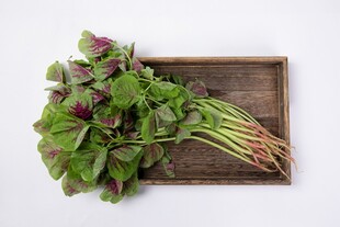 木盘里的多彩新鲜蔬菜