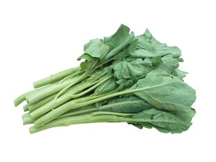 新鲜青菜