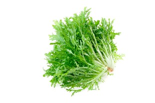 新鲜茼蒿蔬菜