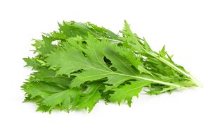 新鲜茼蒿蔬菜