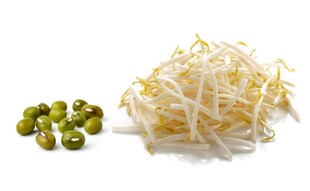 绿豆与豆芽