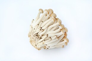 新鲜蟹味菇特写