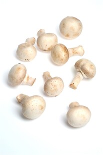 新鲜白蘑菇特写