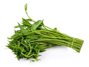 新鲜空心菜