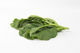 新鲜菠菜叶