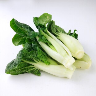 新鲜小白菜