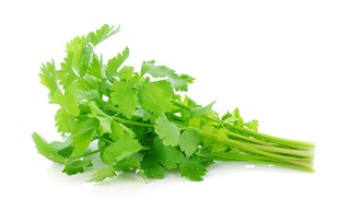 新鲜翠绿的芹菜一束