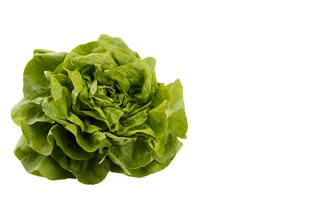 新鲜生菜