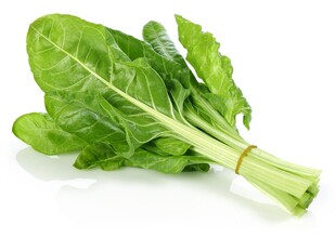 新鲜青菜一束