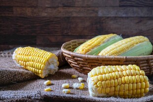 新鲜玉米摆放在编织篮中