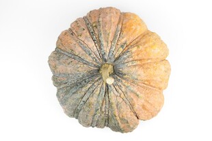 多彩南瓜特写