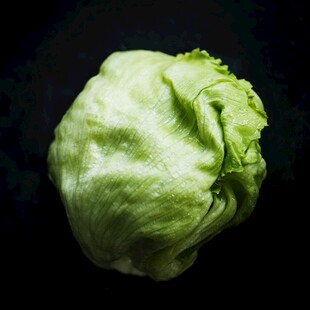 新鲜圆生菜