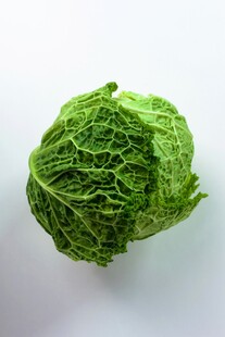 一颗新鲜的皱叶卷心菜