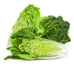 新鲜大白菜