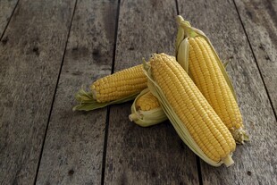 木桌上的新鲜玉米棒