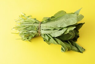 新鲜菠菜束