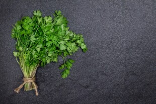 新鲜香菜一束