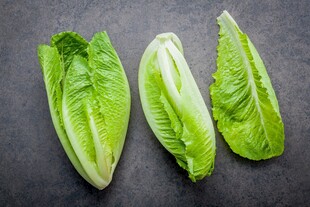 新鲜生菜摆放在深色背景上