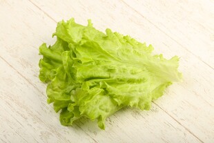 新鲜生菜叶片特写