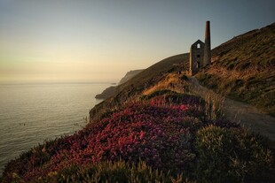 海边繁花伴小径美景