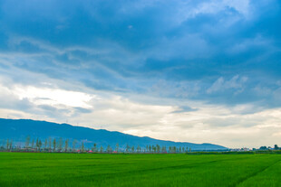 广袤绿野与天际山脉景观