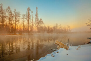 冬日湖畔雪景静谧如画