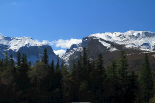 雪山森林美景