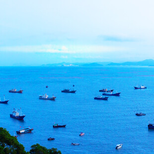 海上渔船群