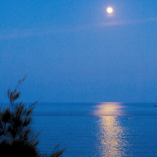 海上明月夜