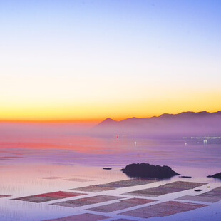 海上日出下的壮观养殖场景