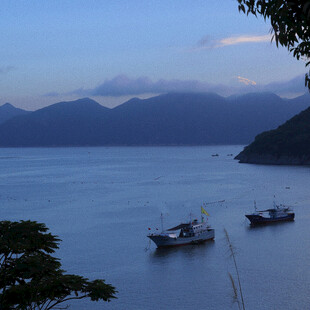宁静海湾中的停泊船只