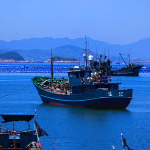 海港停泊的多艘渔船