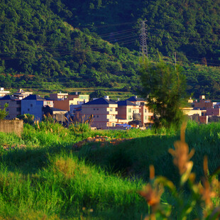 乡村田园风光