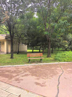 公园休闲场景中的长椅