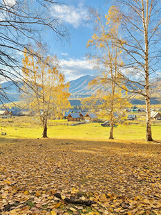 秋日山林美景