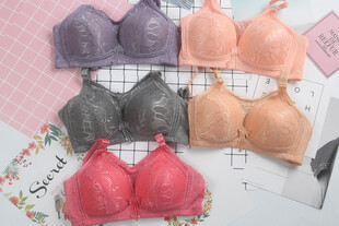 多款女士内衣展示
