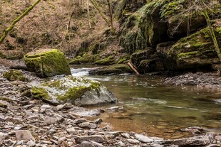 山间溪流石上青苔景色美