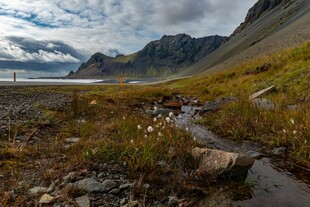 山间溪流旁的自然美景