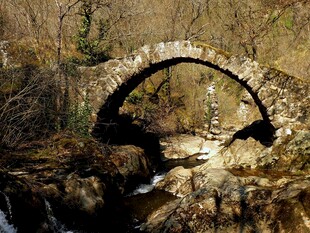 山间石拱桥横跨潺潺溪流