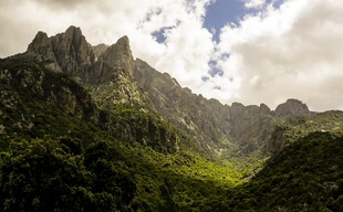 壮丽山峦与葱郁植被景观