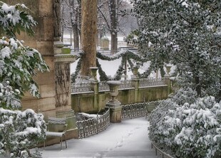 雪覆庭院冬日静谧景致