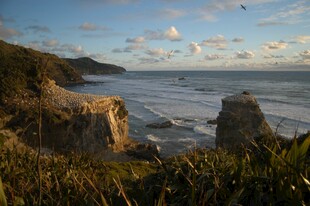 海岸风光岩石与绿植相伴
