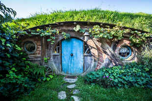 童话风绿顶蓝门小屋