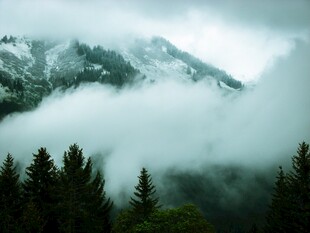 云雾缭绕的山林美景