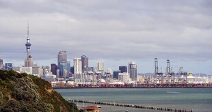 奥克兰城市天际线景观
