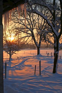 冬日雪野夕阳美景