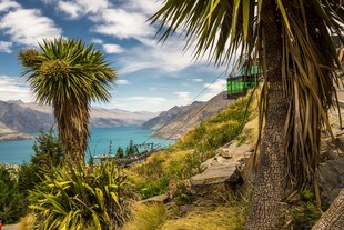 湖畔葱郁美景