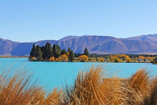 湖畔秋色美景